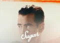 Sugar temporada 2